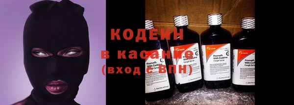 крисы Заводоуковск
