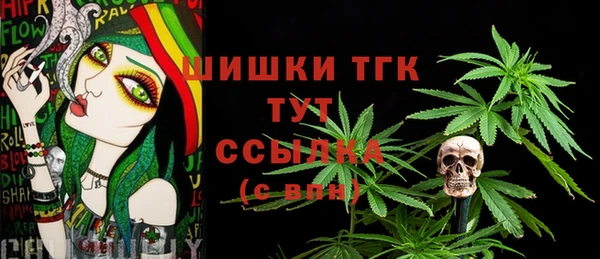 крисы Заводоуковск