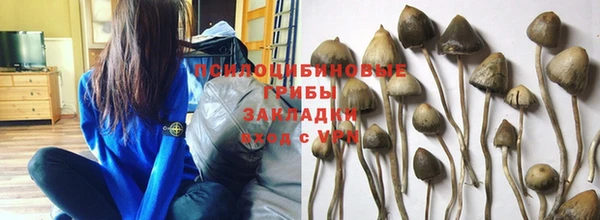 Альфа ПВП Заволжск