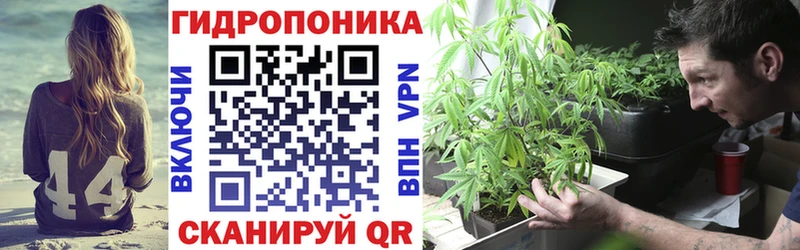 купить закладку  Инза  Бошки Шишки сатива 